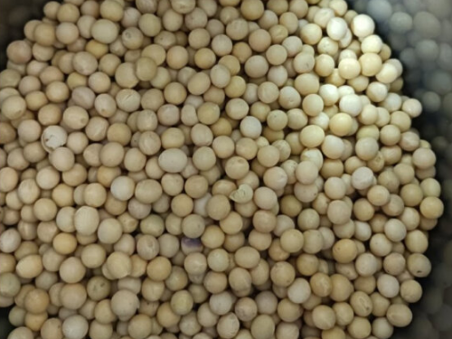 男人吃黄豆的十大好处 男人吃黄豆的十大好处是什么