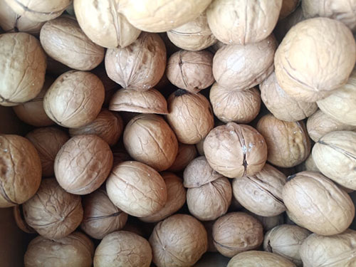 男人吃核桃的十大好处 盘点男人吃核桃的十大好处