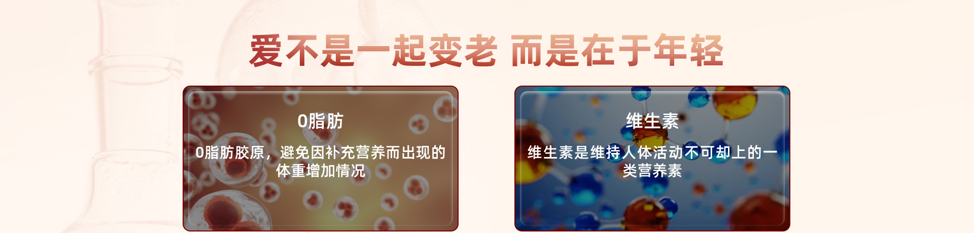 国肽_08.jpg
