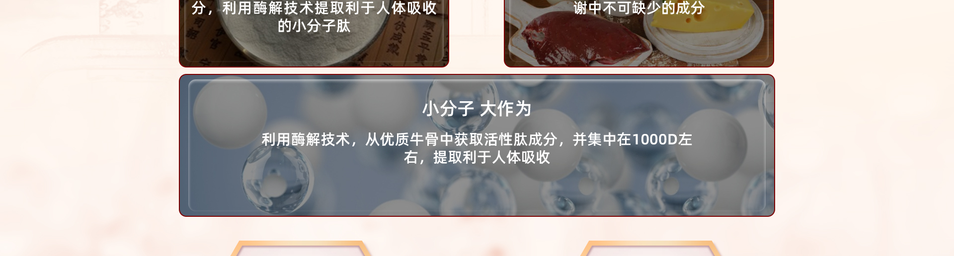 国肽_10.jpg