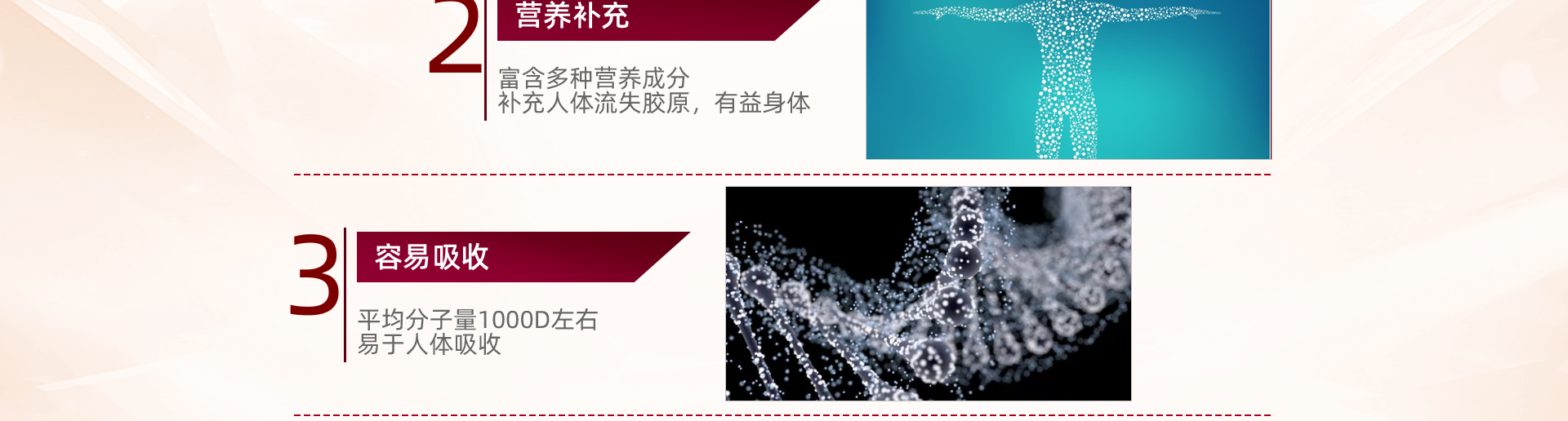国肽_14.jpg