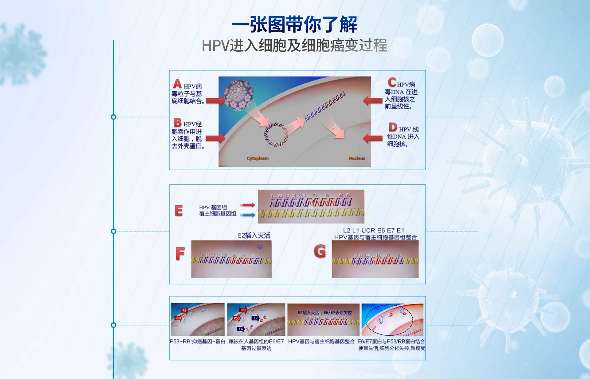 瑞贝尔PC_03.jpg