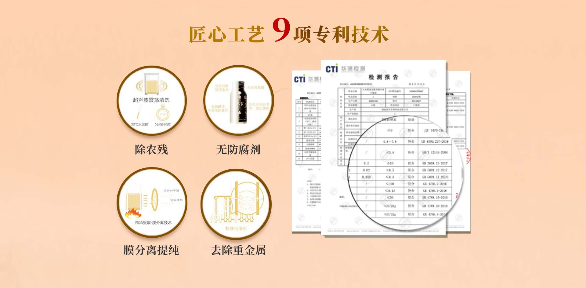 参灵草_09.jpg