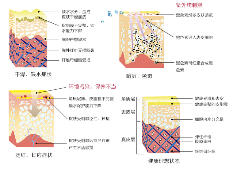澳洲eaoron(eaoron)涂抹式水光针10ml